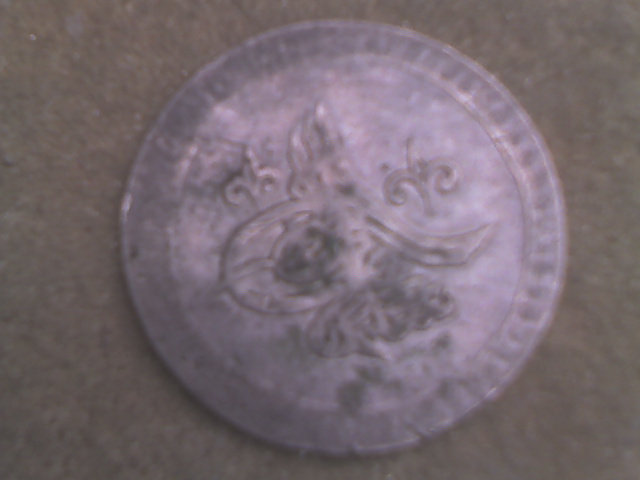 DSC00011.JPG