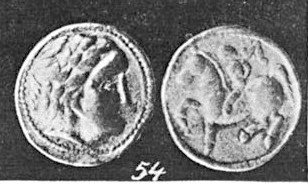 Copy of tul3.jpg