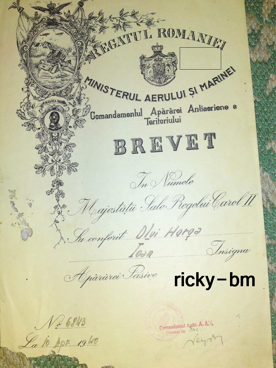 brevet.JPG