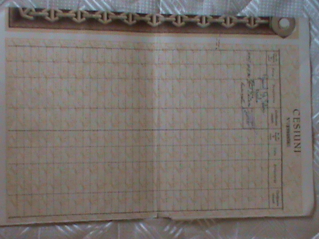 DSC04106.JPG