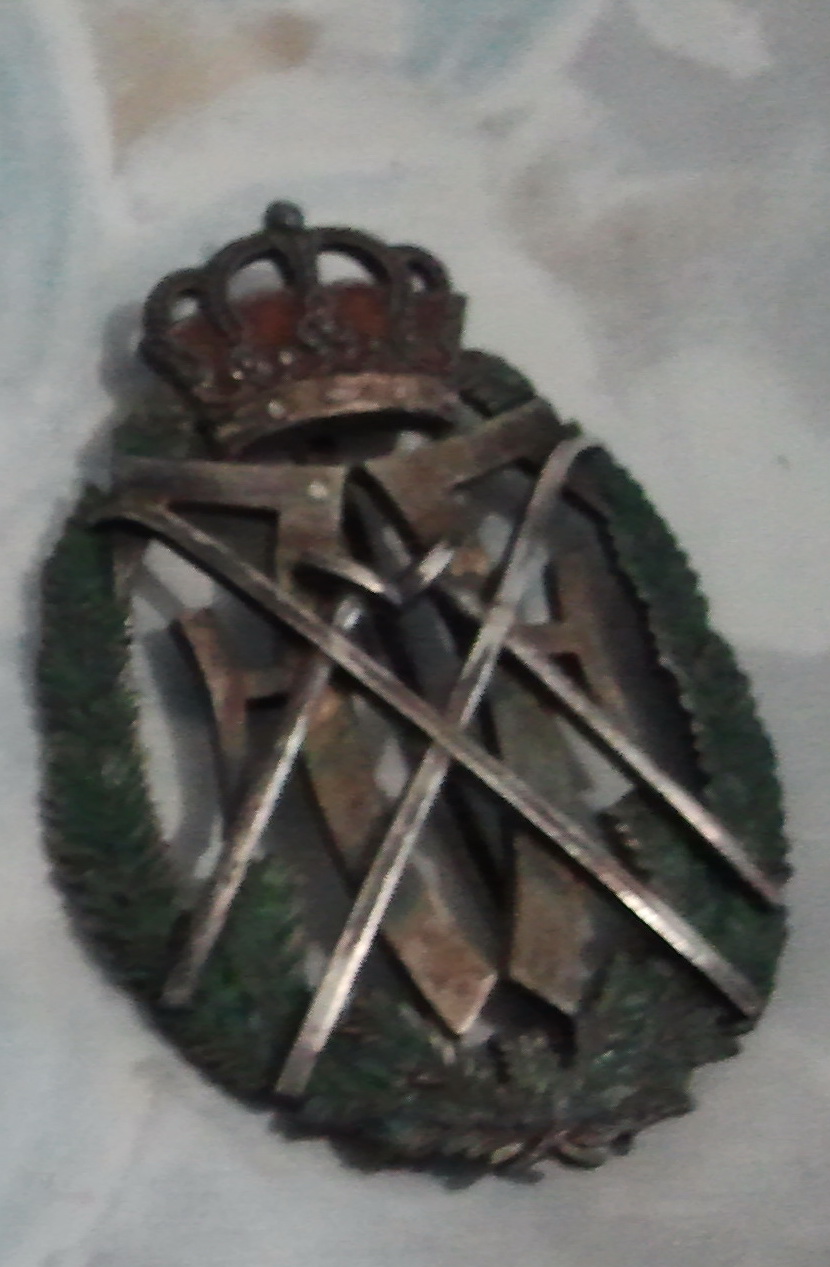 insigna.jpg