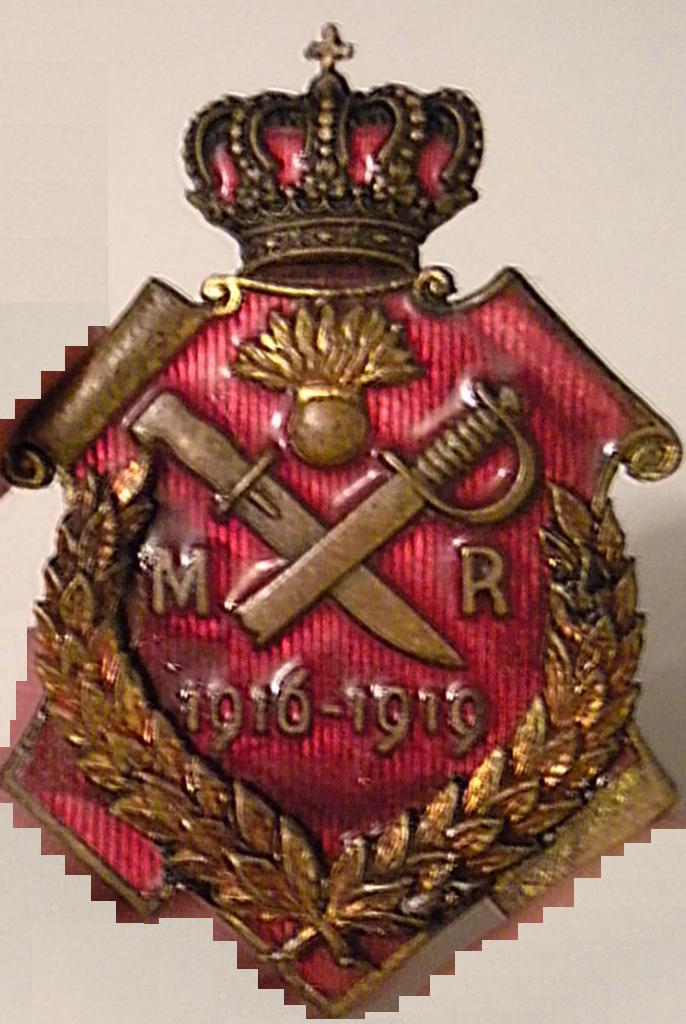 insigna.JPG