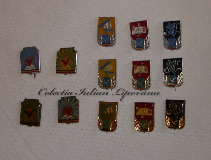 DSC08284.JPG