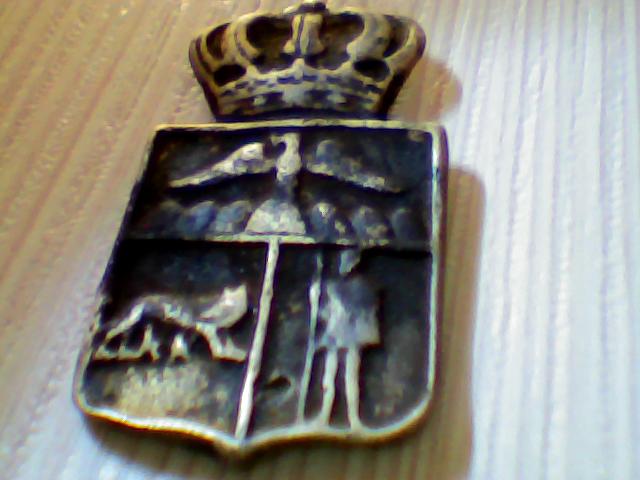 insigna.jpg