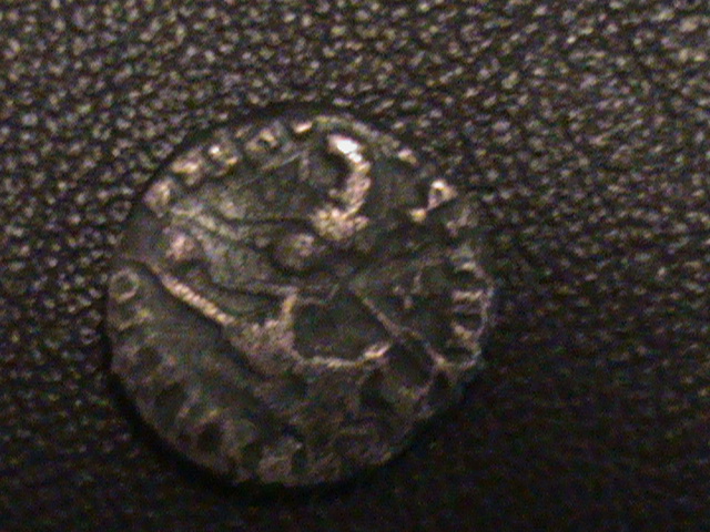 DSC06048.JPG
