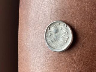 IMG_8295.jpeg