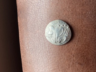 IMG_8294.jpeg