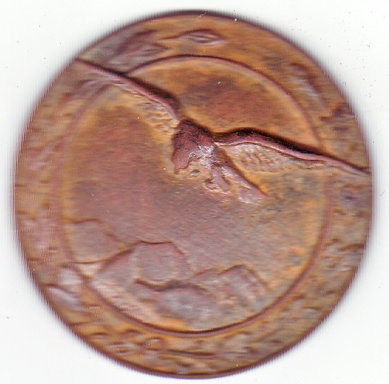 IMG.jpg