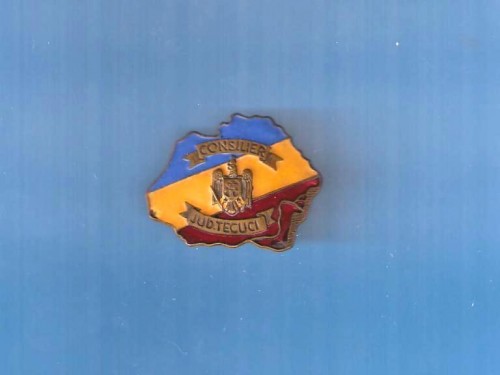 239154440-1650-500_500.jpg