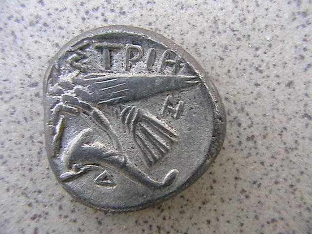 IMGA0196.JPG