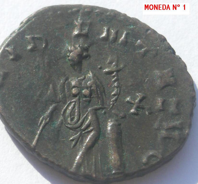 DSCN2796.JPG
