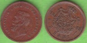 5bani1885-Cosaru-12mm-sm.jpg