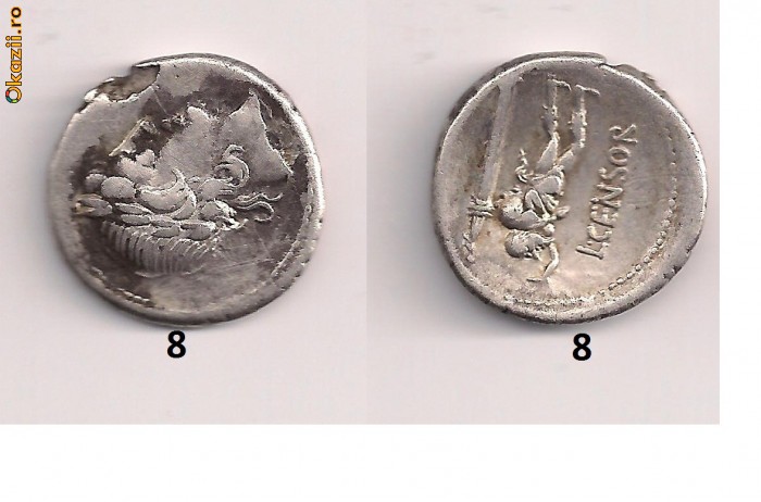 244833186-3388692-700_700.jpg