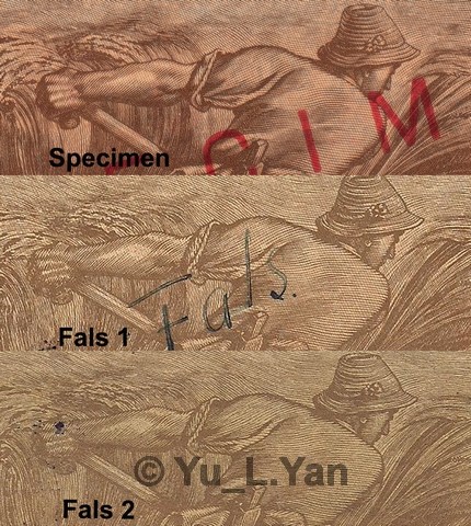 Foto 3.jpg