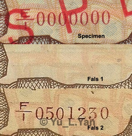 Foto 8.jpg