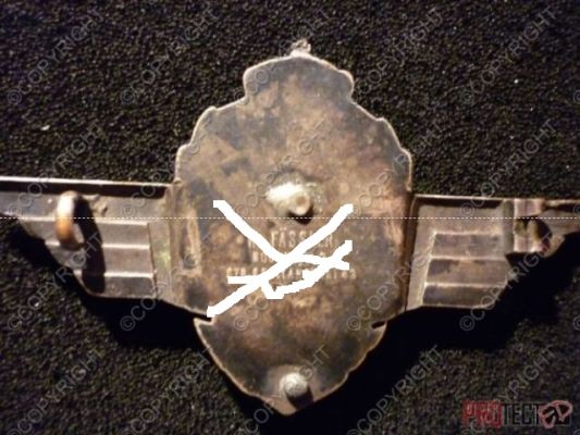 insigna 002.jpg