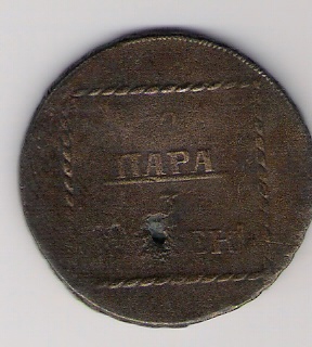559.jpg